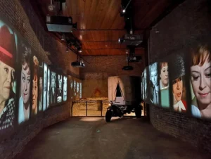 Fellini Museum